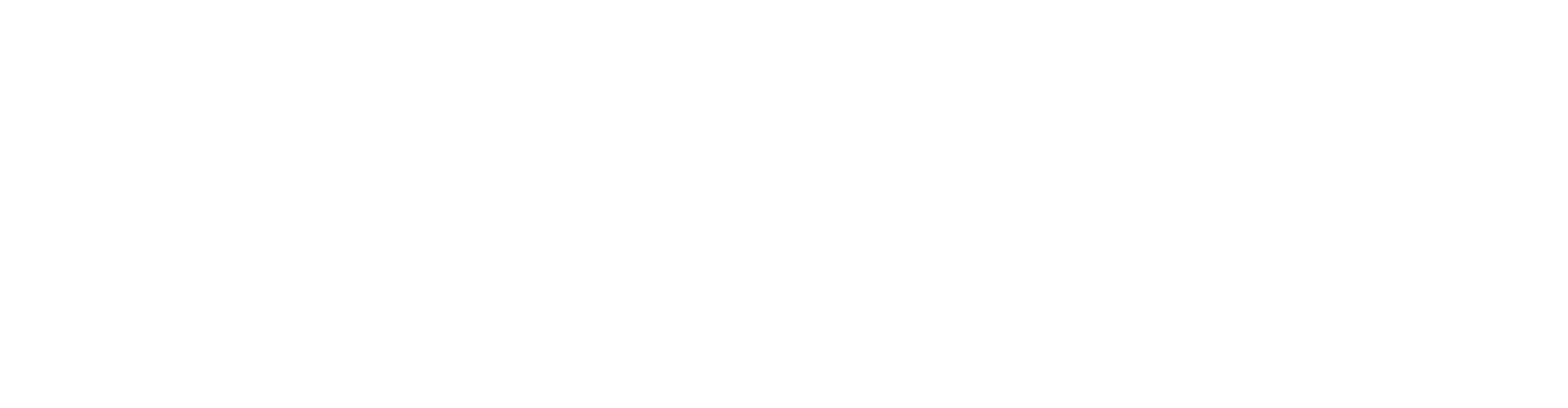 Faktir